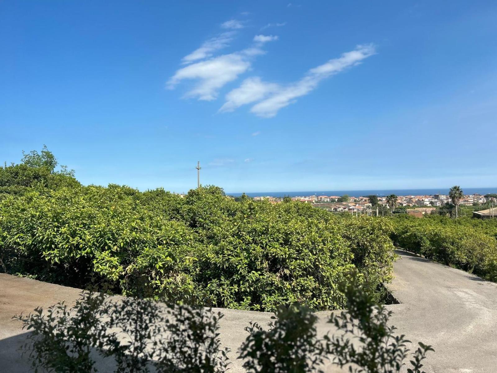 Villa Iiulia Hills Fiumefreddo di Sicilia Eksteriør bilde